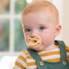 imageChicco PhysioForma 100 Soft Silicone One Piece Pacifier for Babies 616 Months  BPA ampamp Latex Free  Reusable Case  BlueGreen 2pkBlush Two Pack