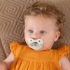 imageChicco PhysioForma Luxe Silicone One Piece Pacifier for Babies Aged 06m  Fashion Textured Shield  BPA ampamp Latex Free Reusable Sterilizing Case  Mint 2pkMint Two Pack