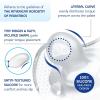 imageChicco PhysioForma Luxe Silicone One Piece Pacifier for Babies Aged 06m  Fashion Textured Shield  BPA ampamp Latex Free Reusable Sterilizing Case Blush 2pkCoastal Blue